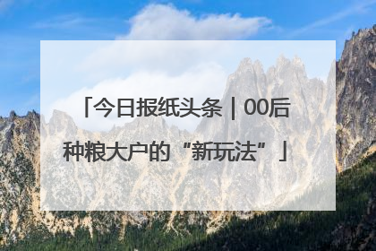 今日报纸头条｜00后种粮大户的“新玩法”